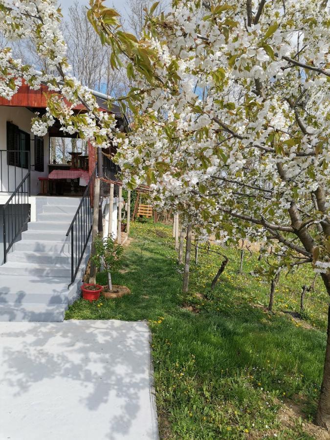 Villa Marijana Varazdinske Toplice Extérieur photo