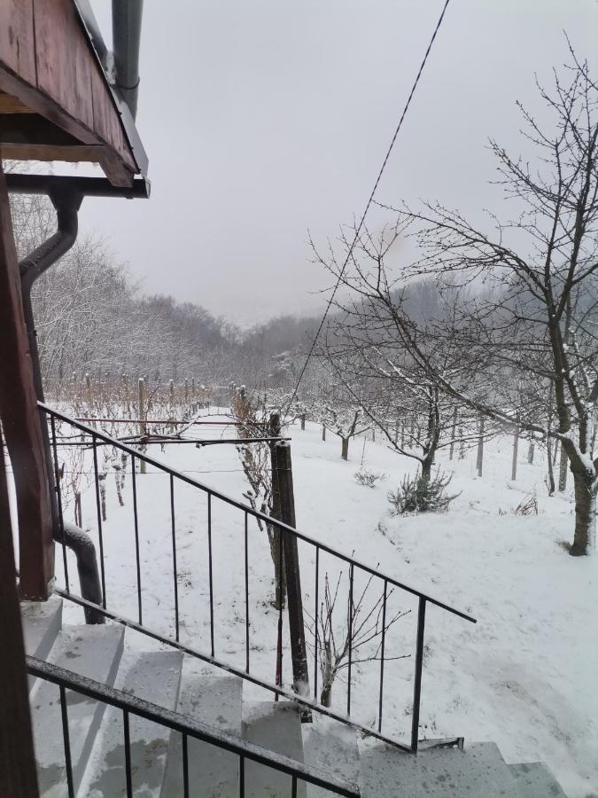 Villa Marijana Varazdinske Toplice Extérieur photo