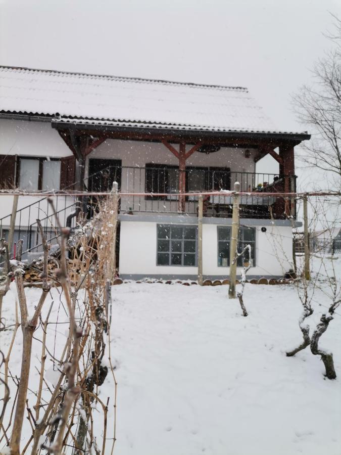 Villa Marijana Varazdinske Toplice Extérieur photo