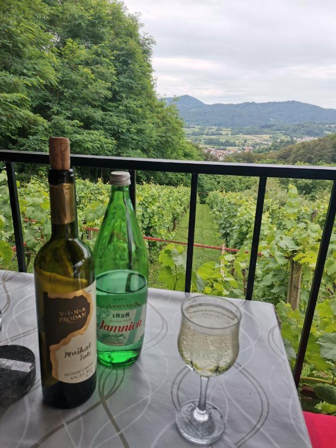 Villa Marijana Varazdinske Toplice Extérieur photo